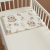 Photoroom_20251123_000440.PNG