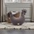 Photoroom_20251125_165024.JPG