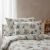 Photoroom_20260102_115647.PNG