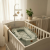 Photoroom_20260104_164034.PNG