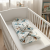 Photoroom_20260204_202039.PNG