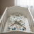 Photoroom_20260204_201617.PNG